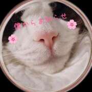 ヒメ日記 2025/04/02 18:01 投稿 あおい 横浜秘密倶楽部