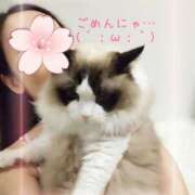 ヒメ日記 2025/04/07 09:50 投稿 あおい 横浜秘密倶楽部