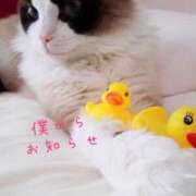 ヒメ日記 2025/04/19 12:03 投稿 あおい 横浜秘密倶楽部