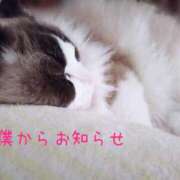 ヒメ日記 2025/05/14 08:45 投稿 あおい 横浜秘密倶楽部