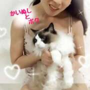 ヒメ日記 2025/05/17 09:02 投稿 あおい 横浜秘密倶楽部