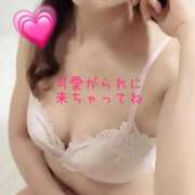 ヒメ日記 2026/01/24 17:01 投稿 あおい 横浜秘密倶楽部