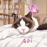 あおい 出勤予定おしらせ♪ 横浜秘密倶楽部