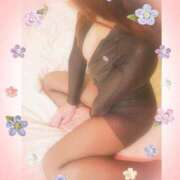 ヒメ日記 2025/10/29 00:16 投稿 ことみ 奥様鉄道69 仙台店