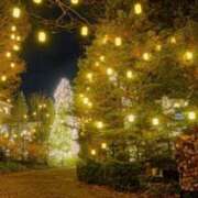 ヒメ日記 2025/12/01 23:56 投稿 ことみ 奥様鉄道69 仙台店