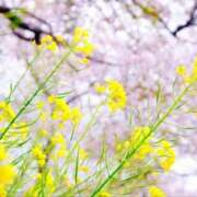 ヒメ日記 2026/03/20 03:16 投稿 ことみ 奥様鉄道69 仙台店