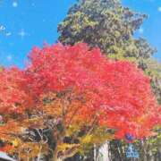 ヒメ日記 2025/09/04 23:27 投稿 あかり 京都デリヘル倶楽部