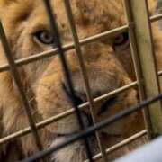 ヒメ日記 2026/04/07 21:08 投稿 あかり 京都デリヘル倶楽部