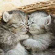 ヒメ日記 2025/02/22 08:46 投稿 もか ぽちゃらん神栖店