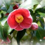 ヒメ日記 2025/02/27 08:36 投稿 もか ぽちゃらん神栖店