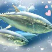 ヒメ日記 2025/02/27 21:46 投稿 もか ぽちゃらん神栖店