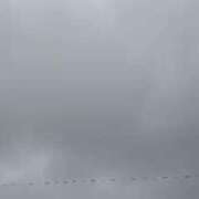 ヒメ日記 2025/03/16 09:16 投稿 もか ぽちゃらん神栖店