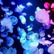 ヒメ日記 2025/03/28 10:16 投稿 もか ぽちゃらん神栖店