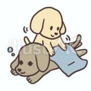 ヒメ日記 2025/05/08 22:56 投稿 もか ぽちゃらん神栖店