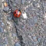 ヒメ日記 2025/09/26 08:26 投稿 もか ぽちゃらん神栖店