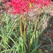 ヒメ日記 2025/10/03 08:46 投稿 もか ぽちゃらん神栖店