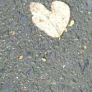 ヒメ日記 2025/10/17 09:46 投稿 もか ぽちゃらん神栖店