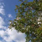 ヒメ日記 2025/10/28 08:46 投稿 もか ぽちゃらん神栖店