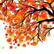 ヒメ日記 2025/11/05 08:36 投稿 もか ぽちゃらん神栖店