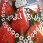 ヒメ日記 2026/01/19 08:26 投稿 もか ぽちゃらん神栖店