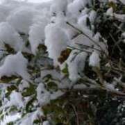 ヒメ日記 2026/02/09 08:06 投稿 もか ぽちゃらん神栖店