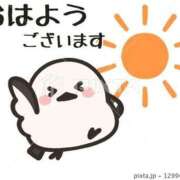 ヒメ日記 2026/03/13 08:46 投稿 もか ぽちゃらん神栖店