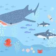 ヒメ日記 2026/03/29 09:36 投稿 もか ぽちゃらん神栖店