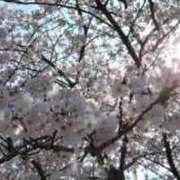 ヒメ日記 2026/04/03 16:56 投稿 もか ぽちゃらん神栖店