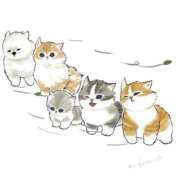 ヒメ日記 2026/04/09 13:36 投稿 もか ぽちゃらん神栖店