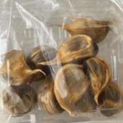 ヒメ日記 2025/02/14 19:16 投稿 札幌みこと 埼玉★出張マッサージ委員会Z