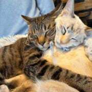 ヒメ日記 2025/03/05 16:44 投稿 札幌みこと 埼玉★出張マッサージ委員会Z