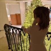 ヒメ日記 2024/12/11 10:48 投稿 南/Minami ジュリエット