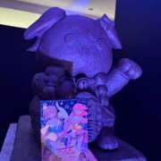 ヒメ日記 2024/12/21 13:27 投稿 南/Minami ジュリエット