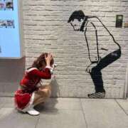 ヒメ日記 2024/12/31 19:57 投稿 南/Minami ジュリエット