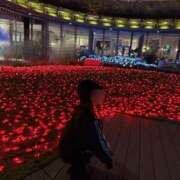 ヒメ日記 2025/01/10 20:18 投稿 南/Minami ジュリエット