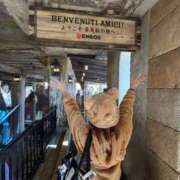 ヒメ日記 2025/01/16 14:27 投稿 南/Minami ジュリエット