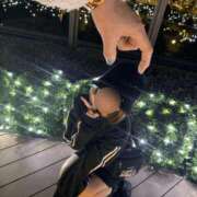 ヒメ日記 2025/02/19 16:19 投稿 南/Minami ジュリエット