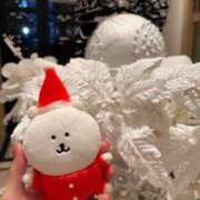 ヒメ日記 2025/02/22 07:21 投稿 南/Minami ジュリエット