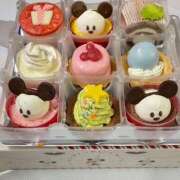 ヒメ日記 2025/02/26 09:57 投稿 南/Minami ジュリエット