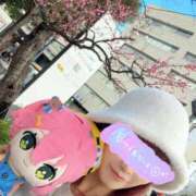 ヒメ日記 2025/03/03 19:03 投稿 南/Minami ジュリエット