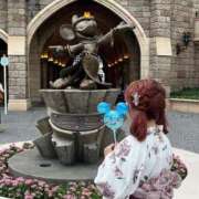 ヒメ日記 2025/03/12 16:48 投稿 南/Minami ジュリエット