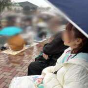 ヒメ日記 2025/03/14 11:48 投稿 南/Minami ジュリエット