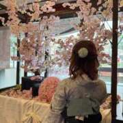 ヒメ日記 2025/03/17 08:12 投稿 南/Minami ジュリエット