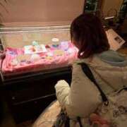 ヒメ日記 2025/03/17 16:42 投稿 南/Minami ジュリエット