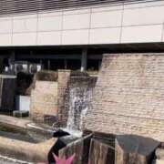 ヒメ日記 2025/03/19 15:33 投稿 南/Minami ジュリエット