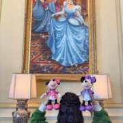 ヒメ日記 2025/03/26 15:18 投稿 南/Minami ジュリエット