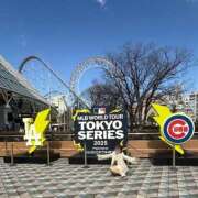 ヒメ日記 2025/03/28 07:48 投稿 南/Minami ジュリエット