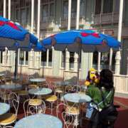 ヒメ日記 2025/03/28 09:48 投稿 南/Minami ジュリエット