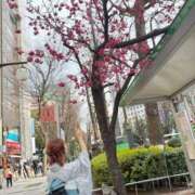 ヒメ日記 2025/03/29 08:27 投稿 南/Minami ジュリエット