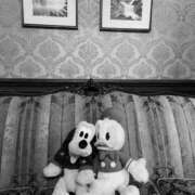 ヒメ日記 2025/03/29 09:33 投稿 南/Minami ジュリエット